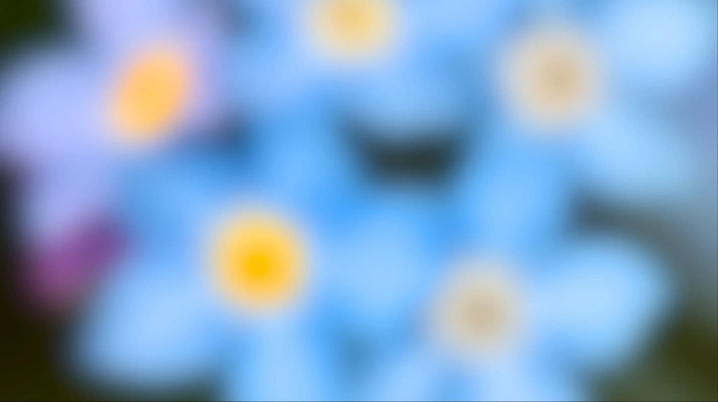 Illustration for: No more long waiting times for price quotes.